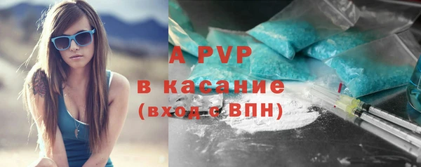 ГАЛЛЮЦИНОГЕННЫЕ ГРИБЫ Фёдоровский