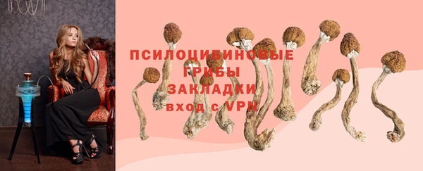 гидропоника Бутурлиновка