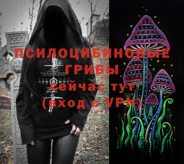 apvp Нестеровская