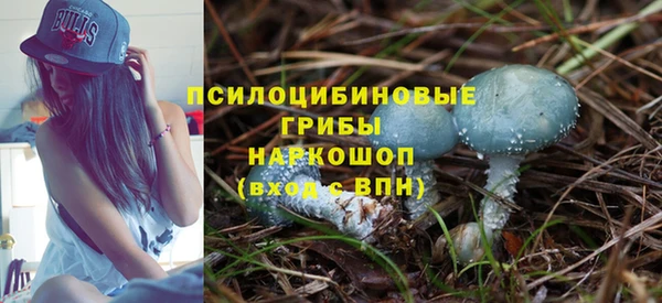 гидропоника Бутурлиновка