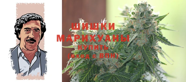 2c-b Калининец