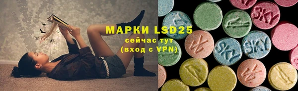 apvp Нестеровская