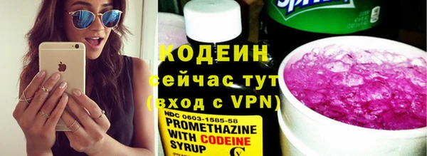 ГАЛЛЮЦИНОГЕННЫЕ ГРИБЫ Фёдоровский
