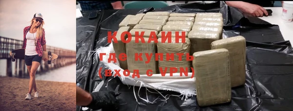 ГАЛЛЮЦИНОГЕННЫЕ ГРИБЫ Фёдоровский